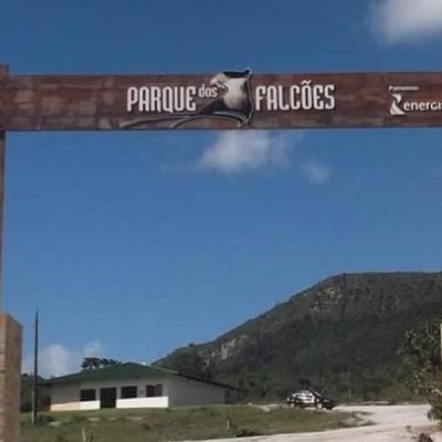 parque dos falcões