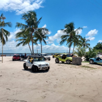 mangue-3 mangue-3